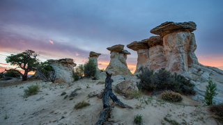 Trump's Decision to Shrink Utah's Monuments Really Pissed Off Paleontologists